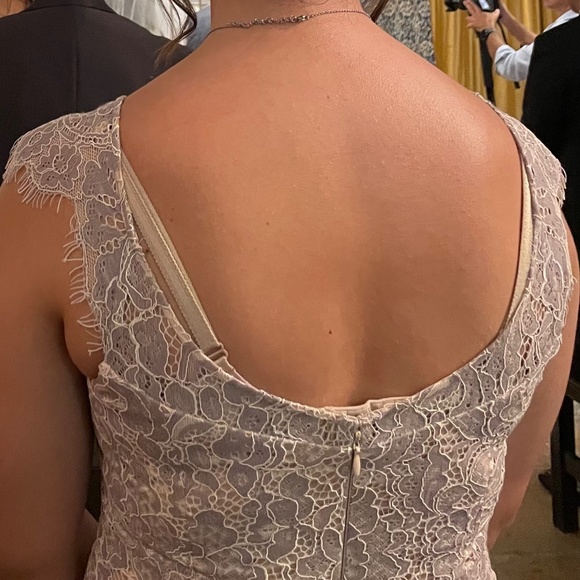 Eliza J Lavender/Grey with Tan Bodice Lace Cocktail Wedding Dress, EUC - Picture 4 of 8